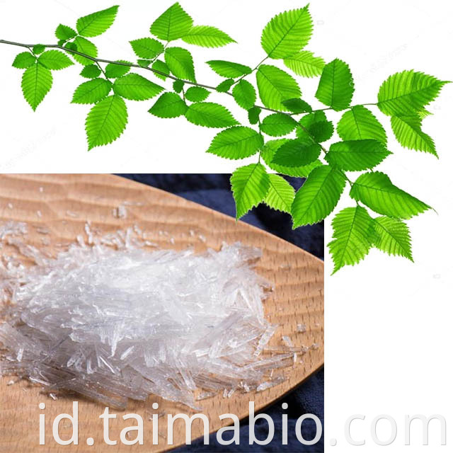 Agen pendingin Taima Mentol Ice 99,9%L harga mentol